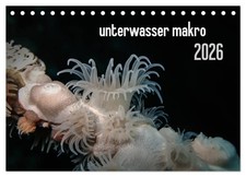 unterwasser makro 2026