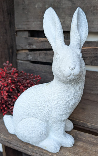 Weißer hase osterhase - ❤️,