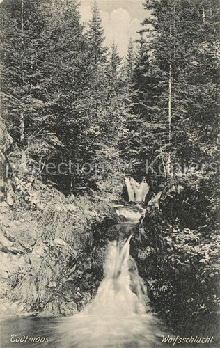 Todtmoos schwarzwald - todtmoos, bw