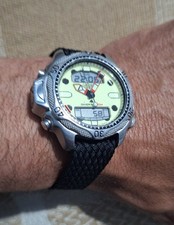 Citizen Aqualand ii Divers