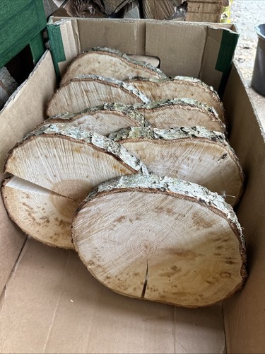 Baumscheiben holzscheiben - baumscheiben,