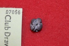 Citadel Brutdrache Drachen