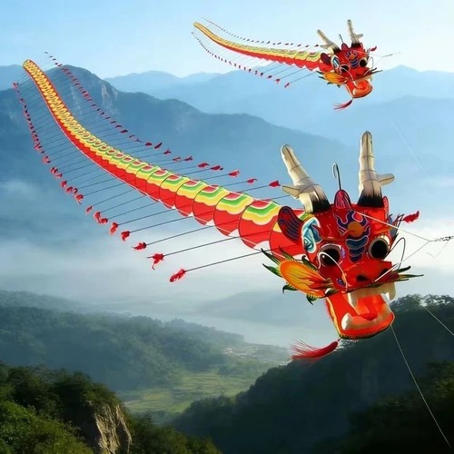 Xxl adler drachen groß - 7m,