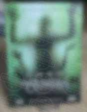 The Human Centipede - Uncut, Director’s Cut, Sammleredition