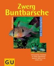 Zwergbuntbarsche von