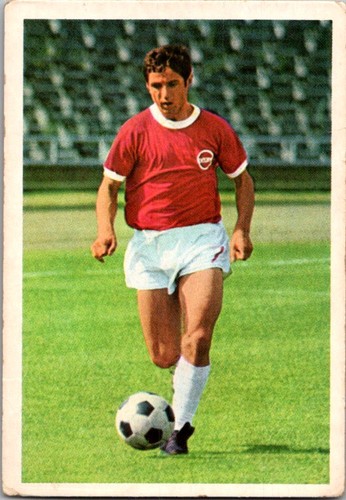 Dieter fern kickers - fern,