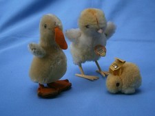 ****************   Steiff