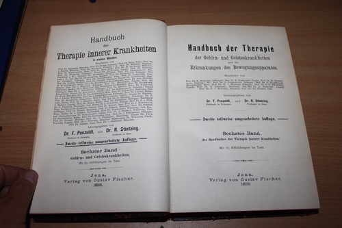 Handbuch der therapie innerer - der,