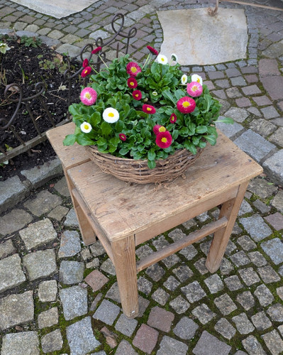 Alter hocker küchenhocker - ,