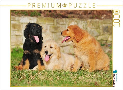 Calvendo puzzle hovawart - hovawart,