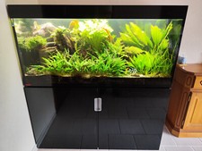Komplettaquarium 400l mit 2x Led Leisten + Fischen und Pflanzen