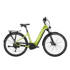 VICTORIA Elektro-Trekkingrad