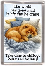 Chow Chow Hunde