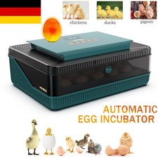 25 Eier Vollautomatische Brutmaschine Brutapparat Flächenbrüter Inkubator Brüter