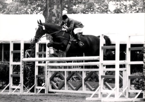 Foto springreiten sprung - foto, springreiten,