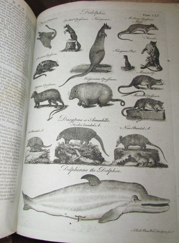 1797 encyclopaedia britannica - encyclopaedia,
