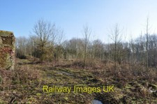 Foto - Wachsende Bäume auf dem alten Admin-Gelände um 2010