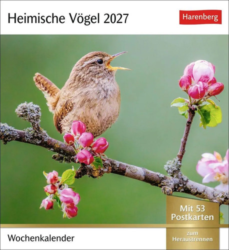 Heimische vögel - heimische,