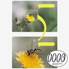 4 Stück Nahfilter Set +1 +2