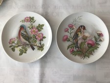 2 ANTIKE WANDTELLER KAISER PORZELLAN GERMANY STIEGLITZ  UND BUCHFINK CA. 60ER