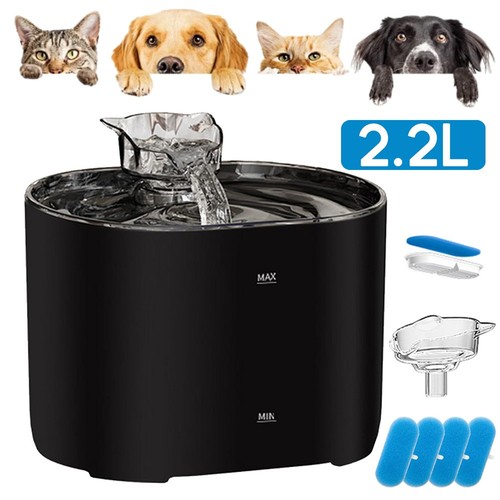 Trinkbrunnen für katze - für,
