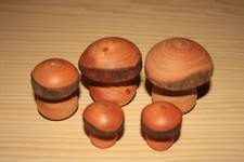 "5x Holzpilze (zw. 3-5cm Höhe) verschiedene Holzarten", Deko