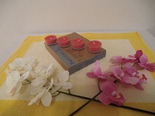 PartyLite Teelichter Raritäten / Aktuelle 12 Stk " Freie Duftwahl " Neu /OVP