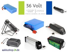36V Lithium-Ionen Akkupack / LiFePO4 Varianten für Industrie Scooter Boot E-Bike