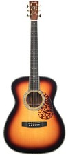 Blueridge BR283 Sunburst