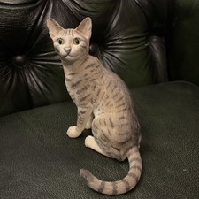 Graugrüne Tabby Bengalkatze