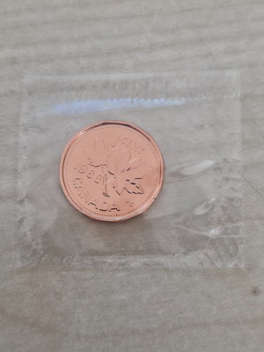 Cent von 1988 stempelglanz - cent,