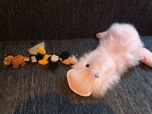 Nici kuscheltiere konvolut - nici,