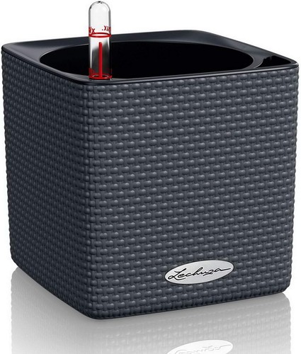 Lechuza cube color - color, 14"