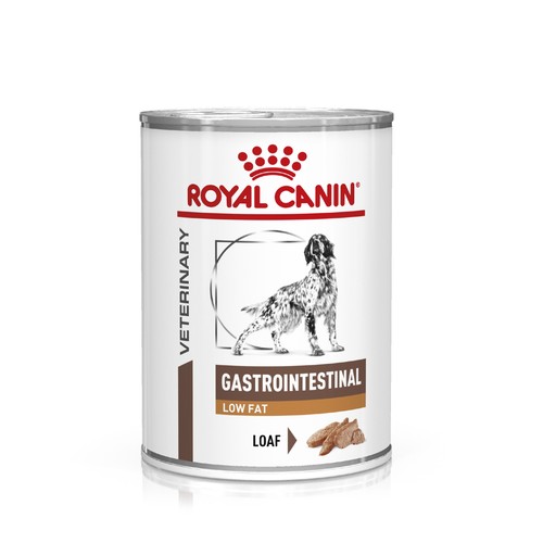 Royal canin gastro intestinal - royal,