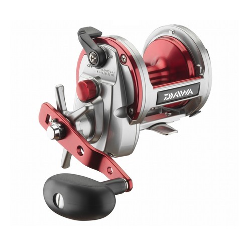 Daiwa sealine ishidai - ishidai, 40h