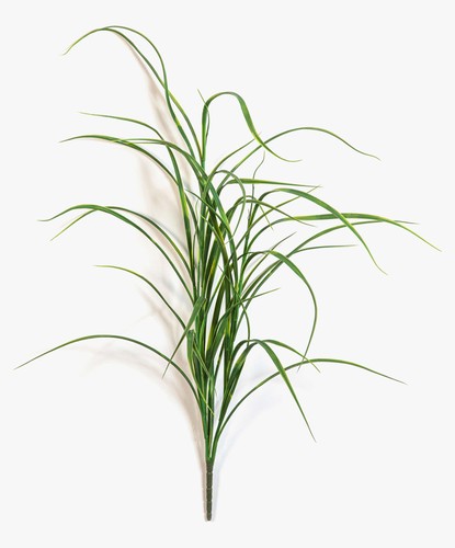 Artplants deko seegras - artplants,