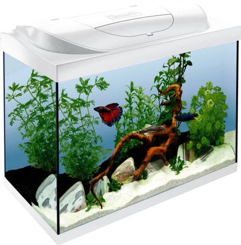 Tetra aquarium starter line - tetra,
