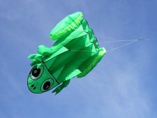 Flugdrachen fliegender Frosch 150cm x120cm