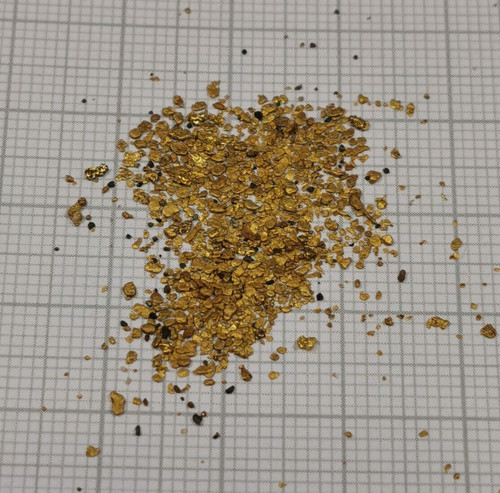 150g goldnugget alaska - goldnugget,