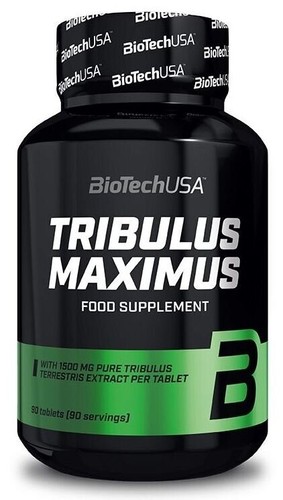 Biotechusa tribulus maximus - biotechusa,