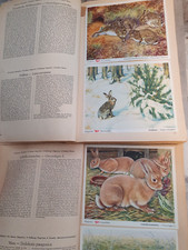 Voss Kunstbilder - Alben kpl. - Das Tierreich - Band 1 + 2