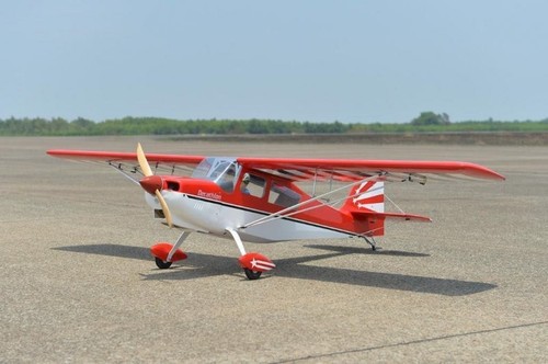 Pichler black horse bellanca - black,