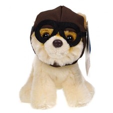 Boo der süßeste hund - hund,