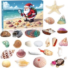 Muschel-Adventskalender 2025