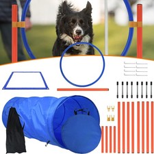Agility Dog Trainings Set