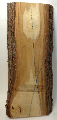 Lindenholz brett mit rinde - lindenholz,