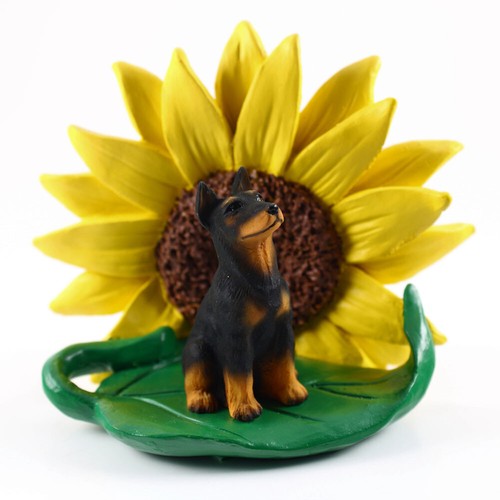 Dobermann pinscher sonnenblume - pinscher,