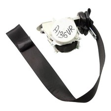 Gurt Sicherheitsgurt vorne