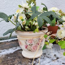 Blumentopf Pflanztopf