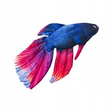 Gaby Fisch Plüschtier Kissen